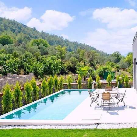 Villa Elisa 페티예