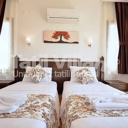 Villa Elisa *